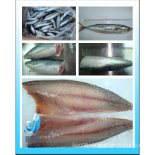 Frozen good quality pacific mackerel fillet